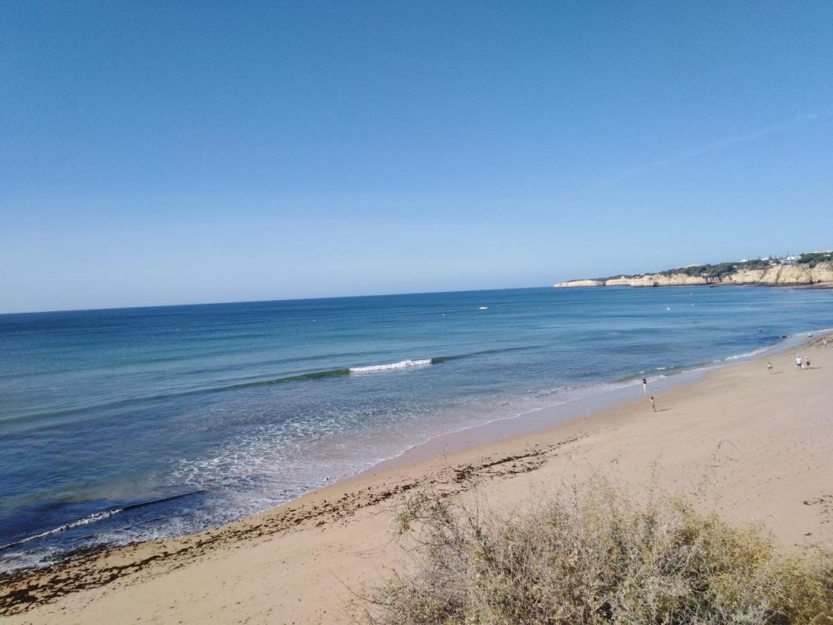 Sons Do Mar - Charming Apartment By The Sea アルマカオ・デ・ペラ エクステリア 写真